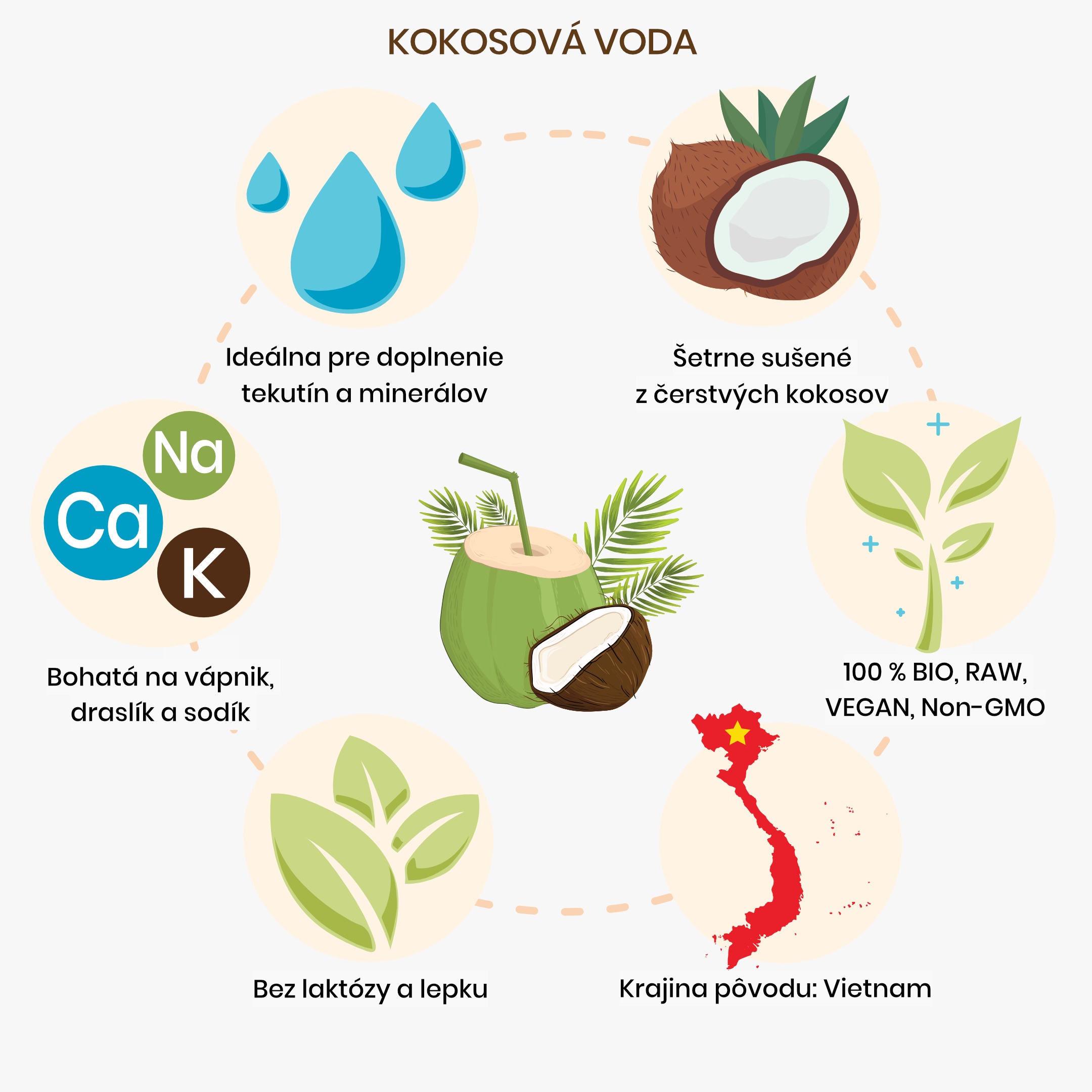 kokosová voda_inforgafika_sk